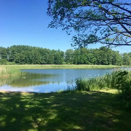 Amazing In * Templin