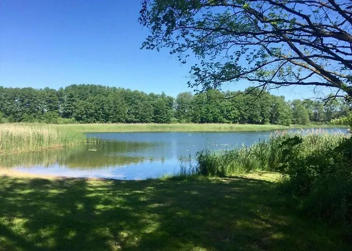 Amazing In * تيمبلين