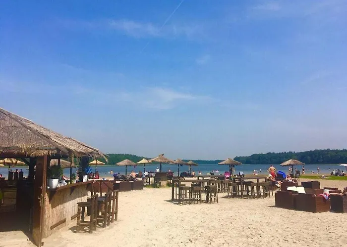 Amazing In تيمبلين